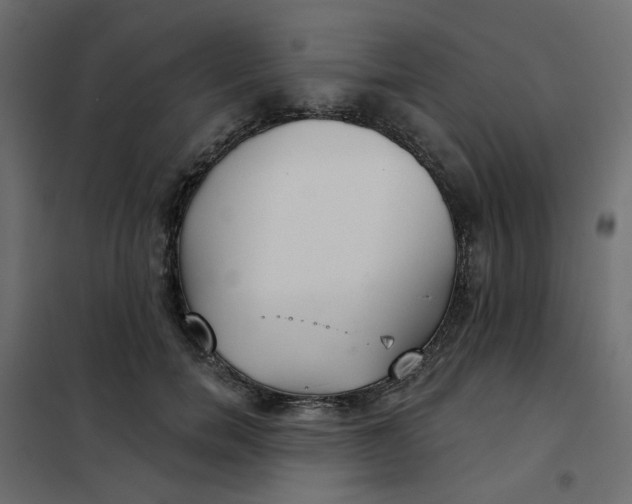 X0000102020750200808081748