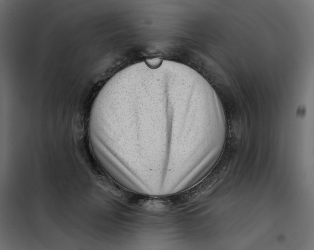 X0000102020751200808081748