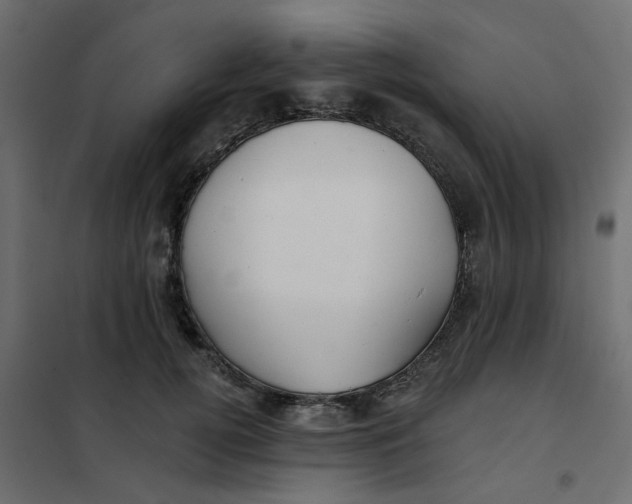 X0000102020752200808081748