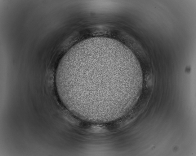 X0000102020753200808081748