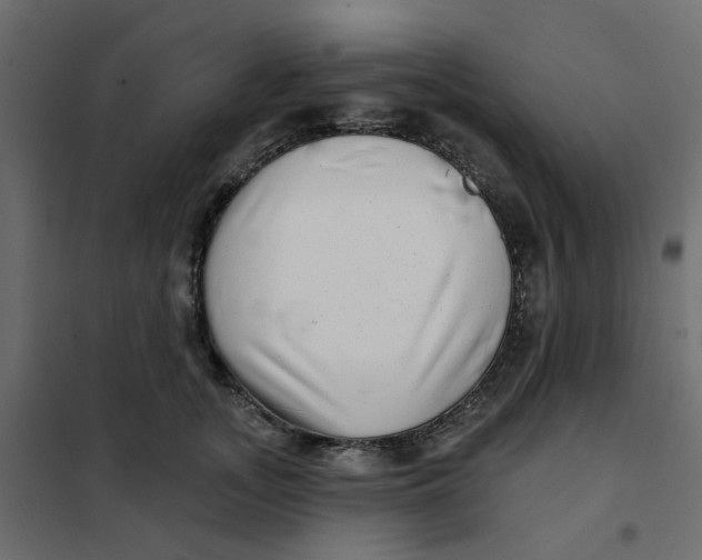 X0000102020755200808081748
