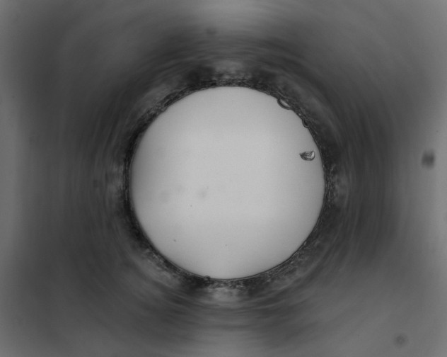 X0000102020756200808081748