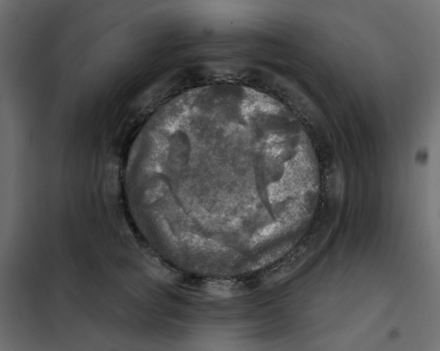 X0000102020757200808081748