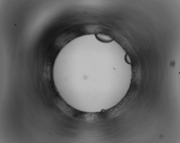 X0000102020762200808081748