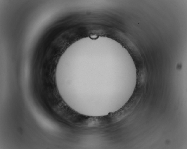 X0000102020764200808081748