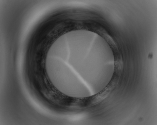 X0000102020765200808081748