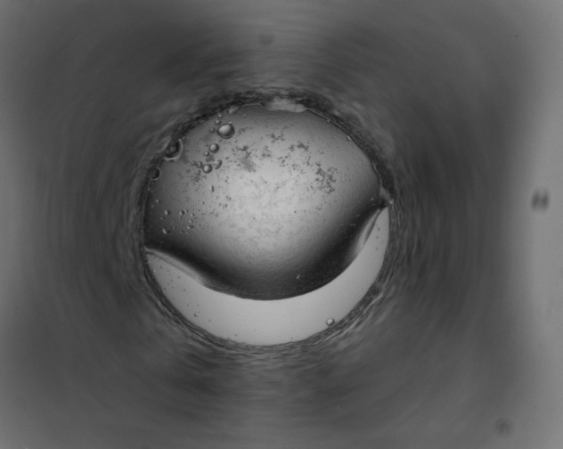 X0000102020769200808081748