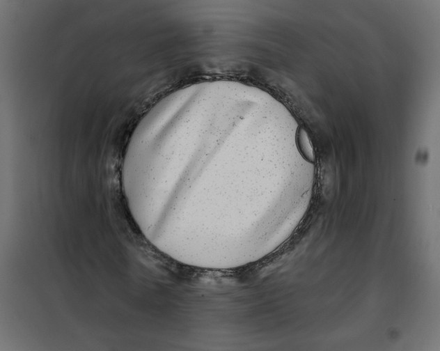 X0000102020770200808081748