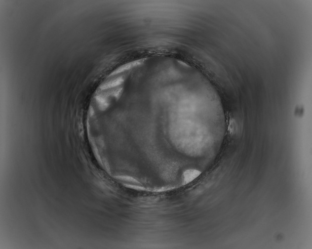 X0000102020771200808081747