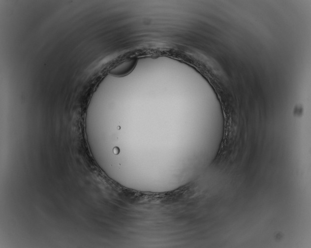 X0000102020773200808081747