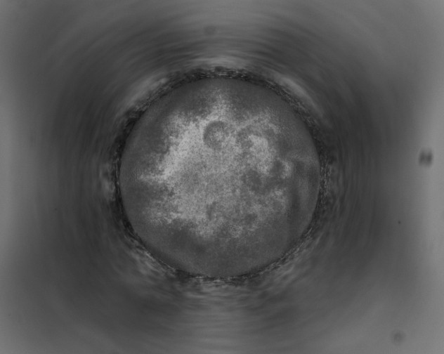 X0000102020774200808081747