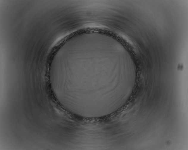 X0000102020775200808081747