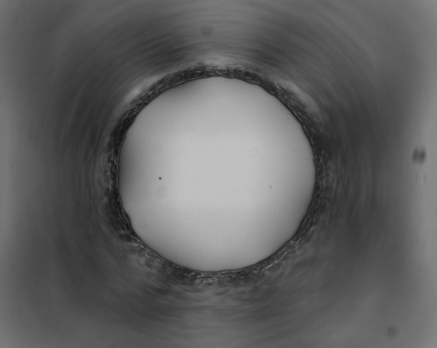 X0000102020776200808081747
