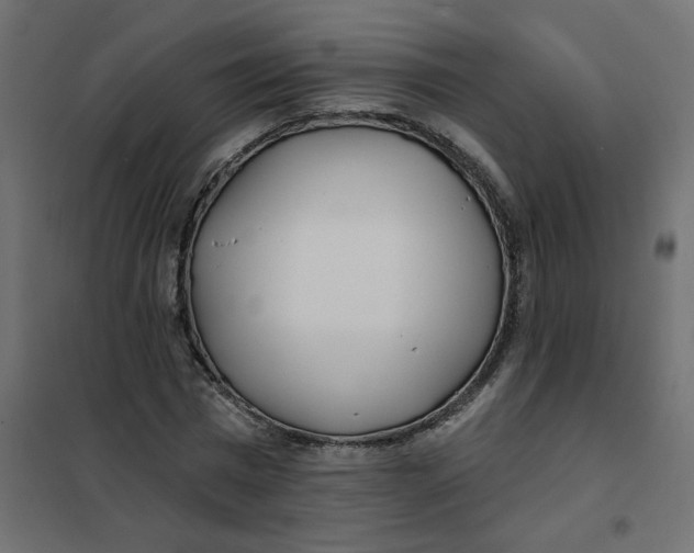 X0000102020777200808081747