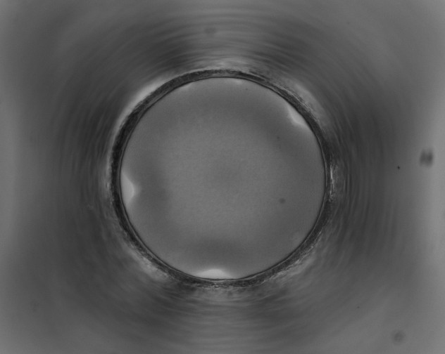 X0000102020780200808081747