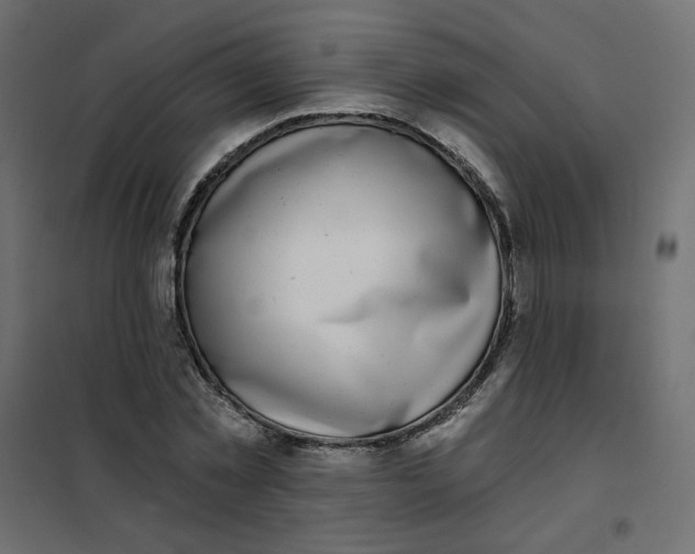 X0000102020781200808081747