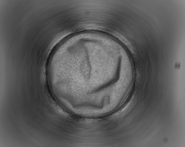 X0000102020782200808081747