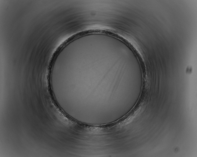 X0000102020783200808081747