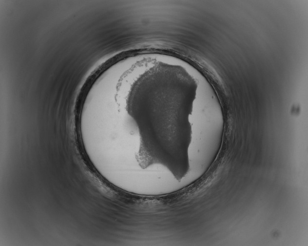 X0000102020784200808081747