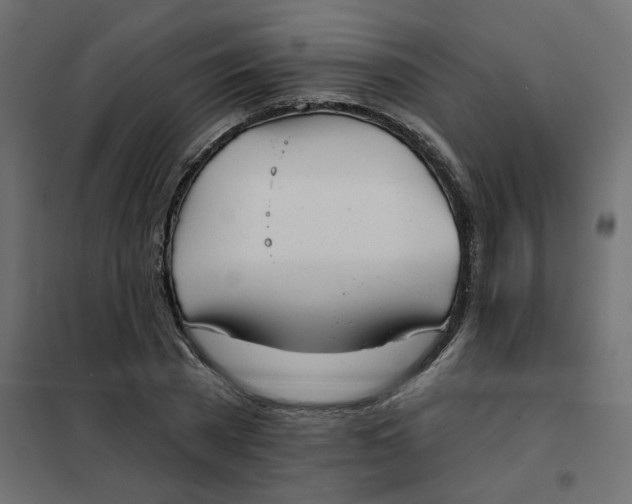X0000102020785200808081747