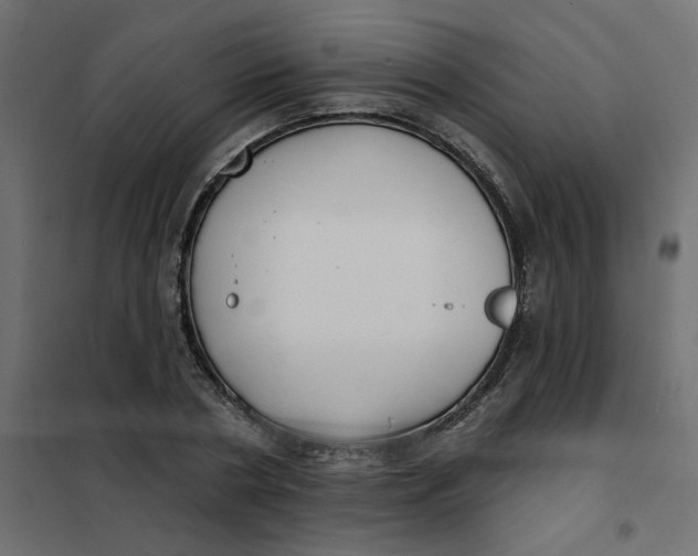 X0000102020786200808081747