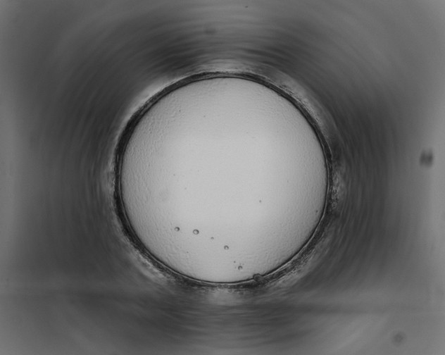 X0000102020787200808081747