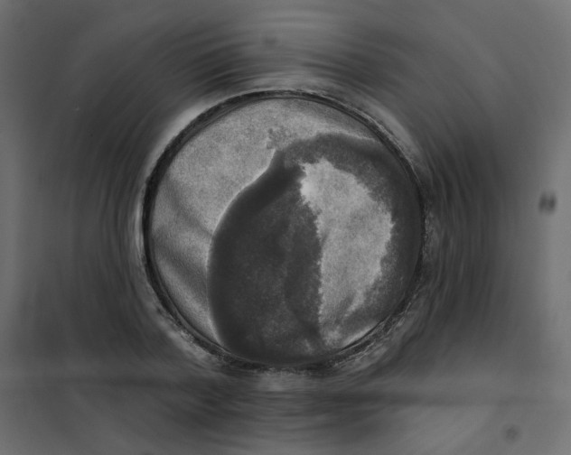X0000102020788200808081747