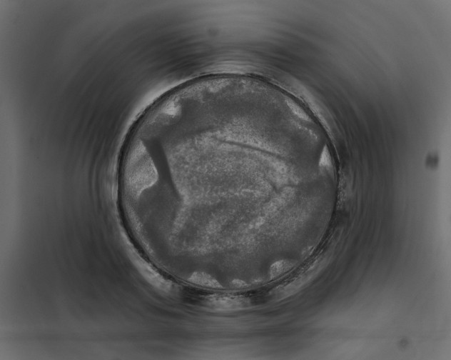 X0000102020795200808081747