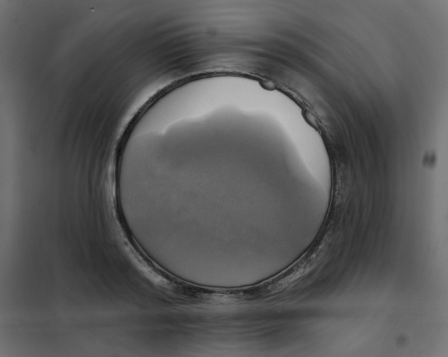 X0000102020796200808081747