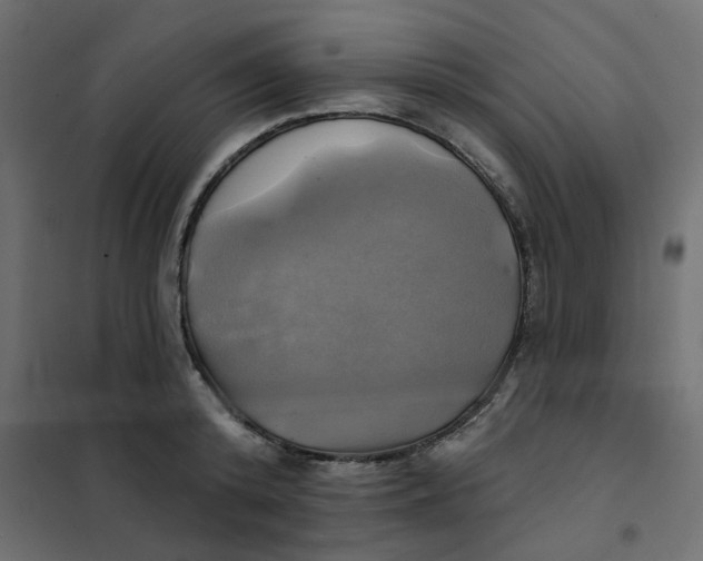 X0000102020800200808081747