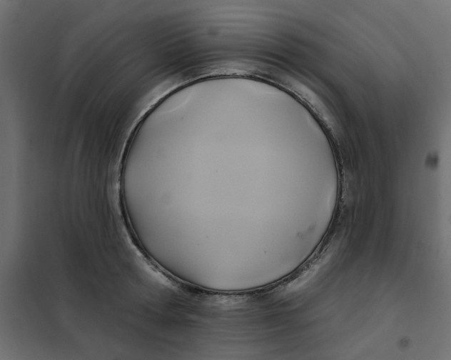X0000102020802200808081747