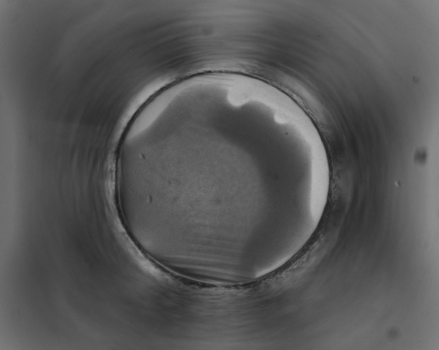 X0000102020804200808081747