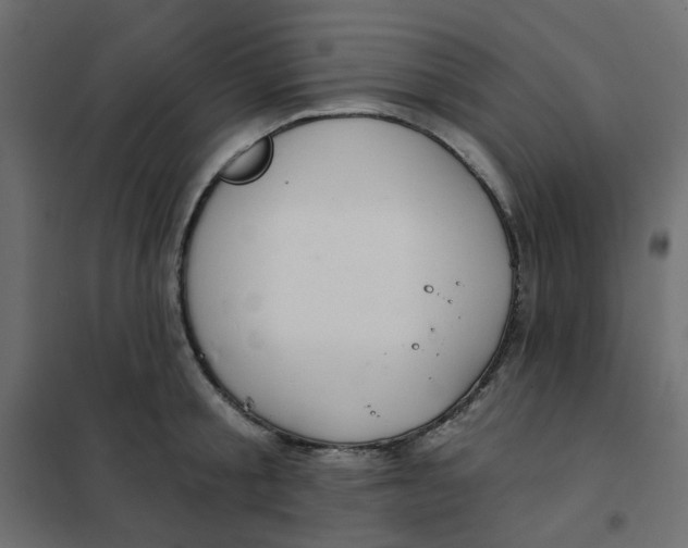 X0000102020805200808081747