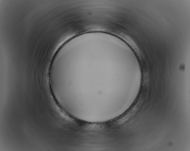 X0000102020806200808081747