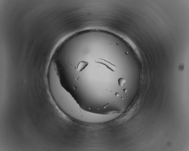X0000102020807200808081747