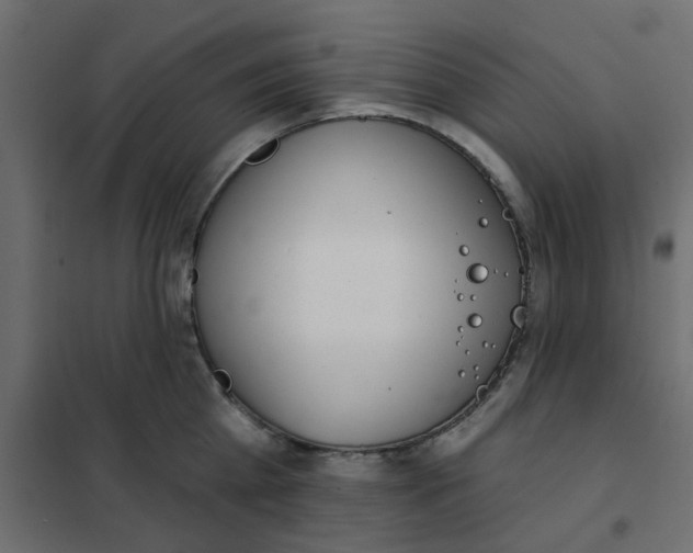 X0000102020809200808081747