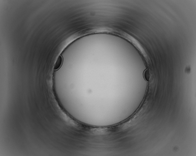 X0000102020810200808081747