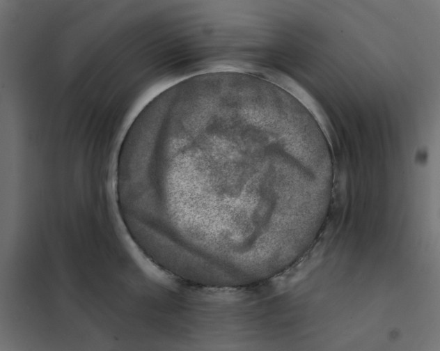 X0000102020811200808081747