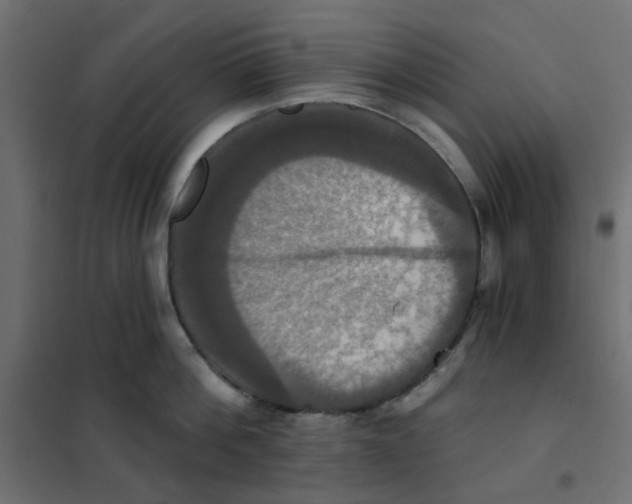X0000102020812200808081747
