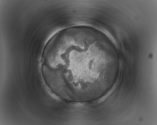 X0000102020814200808081747