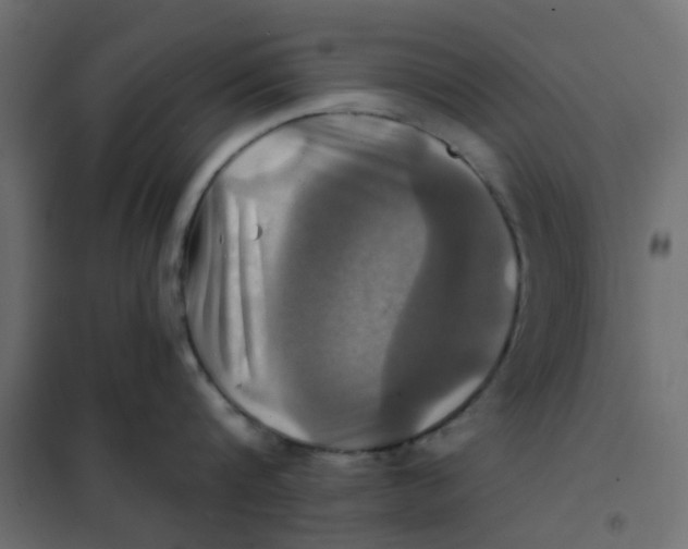 X0000102020816200808081747