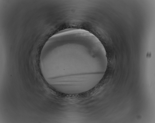 X0000102020817200808081746