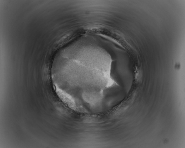 X0000102020819200808081746