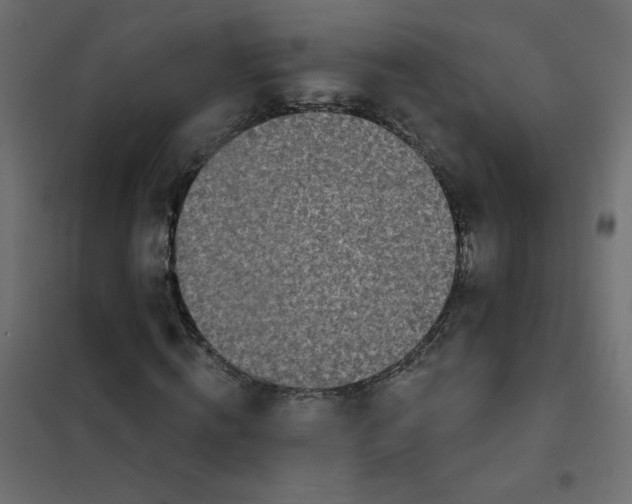 X0000102020820200808081746