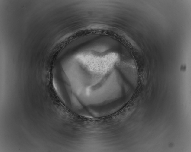 X0000102020821200808081746