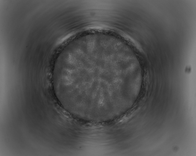 X0000102020822200808081746