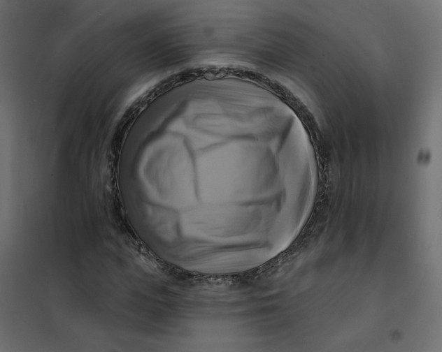 X0000102020823200808081746