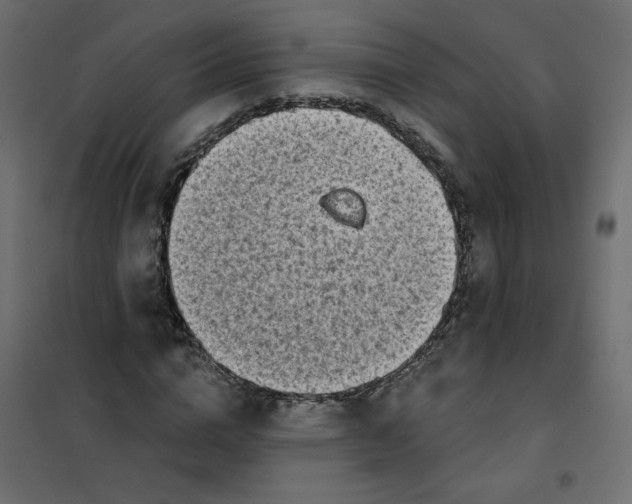 X0000102020824200808081746