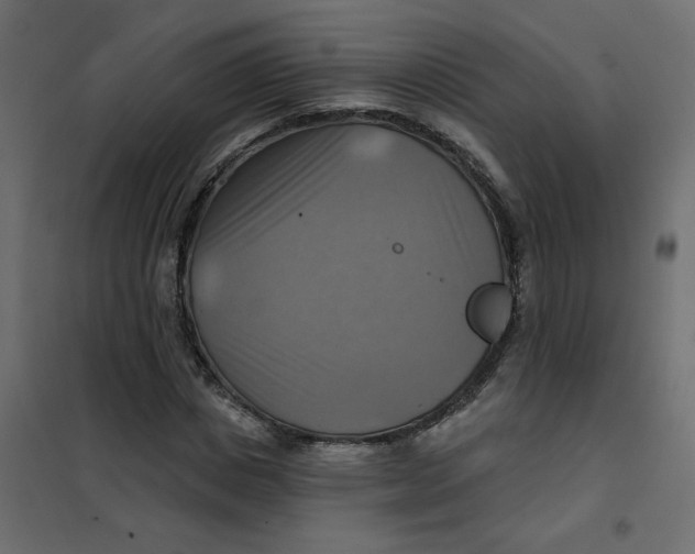 X0000102020825200808081746