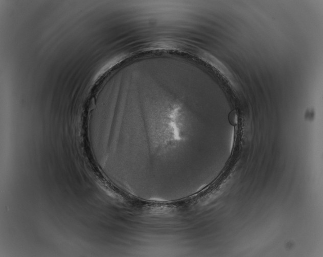 X0000102020826200808081746